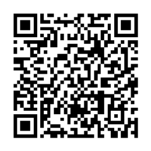 但他却可以从亚当那双坚韧而暴虐的眸子里感受到二维码生成