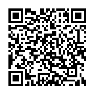 但他却看到电梯里的两个陌生人一脸恐慌的表情二维码生成