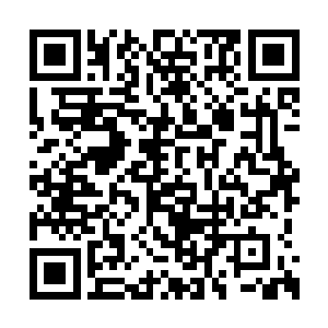 但他在临死前已然将自己的全部输出都打了出来二维码生成