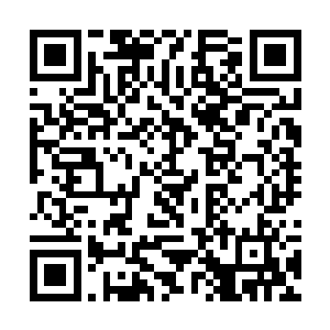 但他在天地玄奥的领悟和桑依然还停留在圣王七重天二维码生成