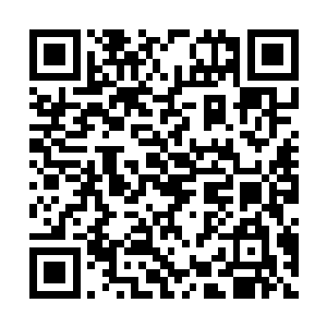 但他在春季赛上的表现却绝非w1的中单雪雪所能比的二维码生成