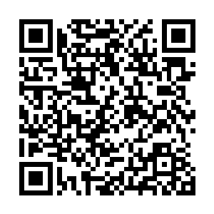 但他当时的心跳心率血压体温和身体内几种腺体的分泌指标二维码生成