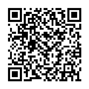 但他没想到的是……接招后的伯爵竟是稳立原地二维码生成