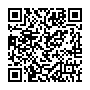 但他的同伴确实在这名无角人的医治下开始好转二维码生成