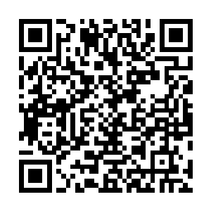 但他的时间之力却可以得到巨大的提升和源源不断的补充二维码生成