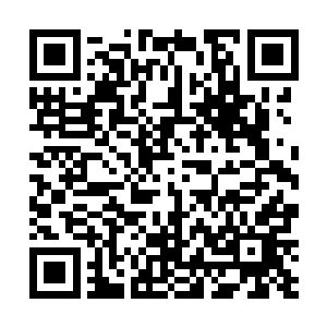 但他绝对不能对一个古族五级下属势力的公子点头哈腰二维码生成