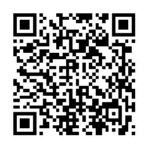 但他自己其实也被机械泰坦逆天的战斗力给吓到了二维码生成