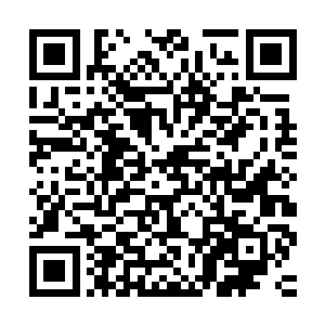 但伊伊依然能感到它们身体中涌动的力量使它们明显有异于先前二维码生成