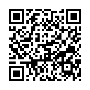 但似乎已经认命流墨墨是他们的主人了二维码生成