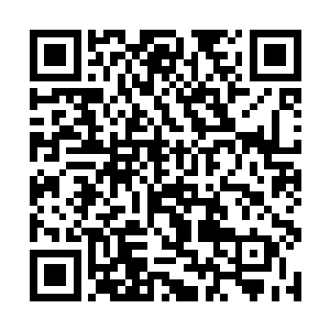 但依然不足以让长阳和东临嫣雪逃脱青山的毒手……二维码生成