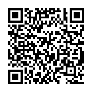 但偏巧这又是最在乎面子和虚名的一个行当……二维码生成