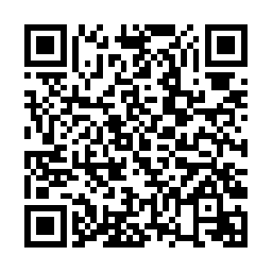 但元始族也仅仅用了几百万年就成为当之无愧的霸主二维码生成