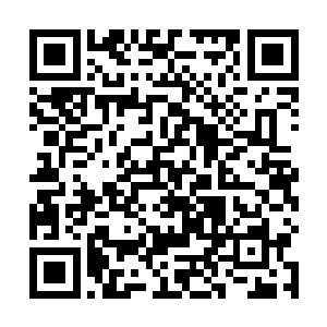 但关键是让人形骷髅虫相信办了事能确保拿到化符原珠二维码生成