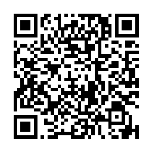 但其中蕴含的劲气却是其他四把匕首加在一起也不及的二维码生成