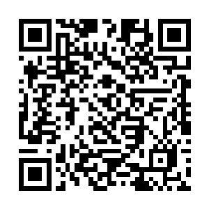 但内地演员的比例不得少于主要演员总数的三分之一二维码生成