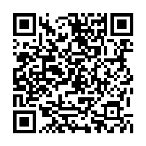 但凌雪鹫心里却其实已经对冷轩产生了一丝好奇二维码生成