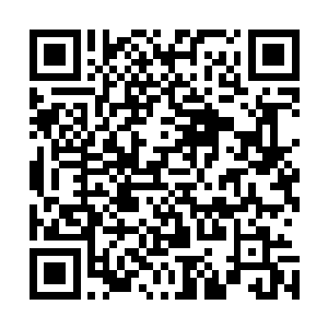 但凡有点儿意识的人看到对面这个时候大规模出现在这附近二维码生成