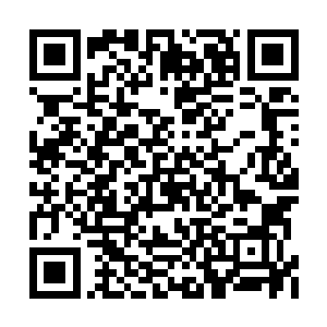 但前世笑君主还有今生笑公子的阅历智慧告诉他二维码生成