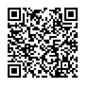 但动漫节早就准备好的一系列环节不可能因此推迟二维码生成