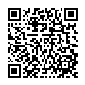但包括高扬在内的所有人此刻都在想她那藏在衣服下面的霸王龙二维码生成