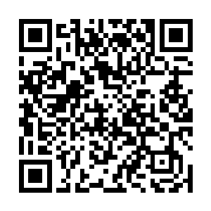 但却对于林辰为何会突兀的出现在前方而感到有些疑惑二维码生成