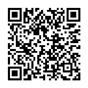 但却并没有降下龙宫之内的各种禁阵威能攻击他们二维码生成