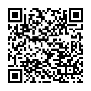 但却能从这林林总总的线索中找到我觉得适合的人二维码生成