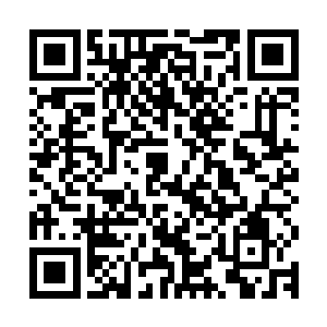 但却被天幸一甩尾巴带起一股劲风直接掀飞倒砸到了不远处地上二维码生成