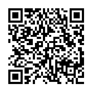 但古无心似乎在整座传送阵的四周都设置了强大的禁制和结界二维码生成