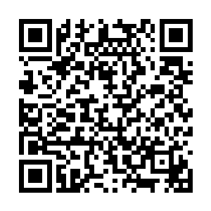 但另一方面又心心念念惦记着那些洒落出去的资料二维码生成