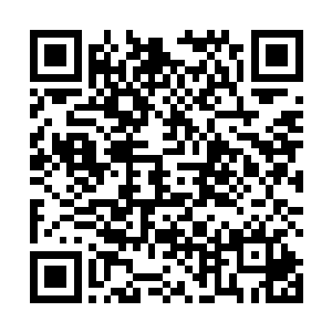 但只有张铁才从汉娜的眼神之中捕捉到一丝促狭的挑逗二维码生成