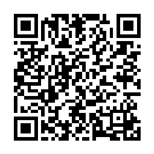 但只要他体内还有一丝神血血脉都有可能被这个女人激活二维码生成