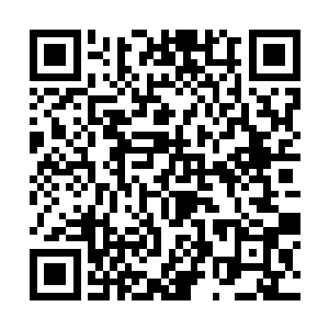 但只要他能找到比有角族知道的规则还要更细一步的二维码生成