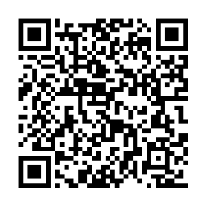 但可能因为她还是头一次面对输赢如此高的赌局二维码生成