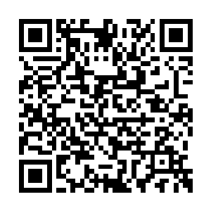 但同为金仙巅峰强者不自觉就将力量加持在一起二维码生成