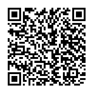 但同时也算是在预料之中的……这些大网居然并没有被秦方的剑气刺穿或是划破二维码生成