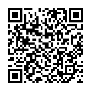 但同时却也有大量朽木一族的强者被那些恶鬼所吞噬二维码生成