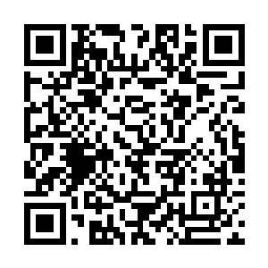 但因为你们不是两位继承人结合所生的魅族纯正血统二维码生成