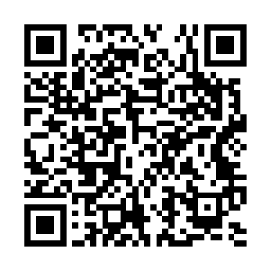 但在他千辛万苦把左手的诡异能量逼到了大拇指内二维码生成