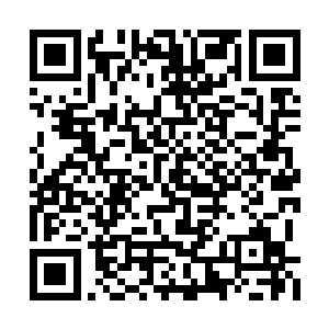 但在听到这声音之后还是忽然觉得神念有些恍惚二维码生成