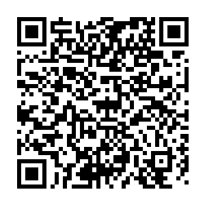 但在场的其他嘉宾和观众们却是全神贯注地瞩目着各个奖项的颁发二维码生成