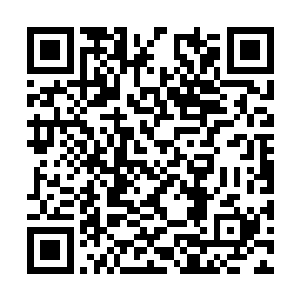 但在少年稚嫩的脸上看不到任何畏惧与退缩的意思二维码生成