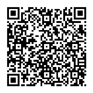 但在来的时候也多少有些担心若是他这次回来其实不是度假而是一切准备就绪准备当个二维码生成