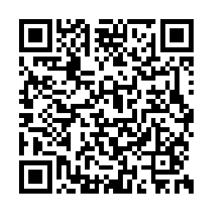 但在水里的时候它们才能使用出最强的防御手段二维码生成