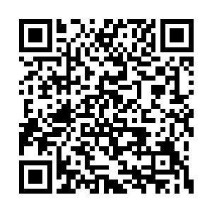 但在血脉上却对非王族的龙产生一种无形的威压二维码生成