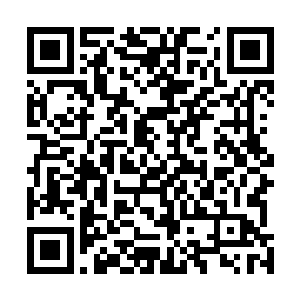 但在计知白没说完之前开口且不说会被扣上没规矩的帽子二维码生成