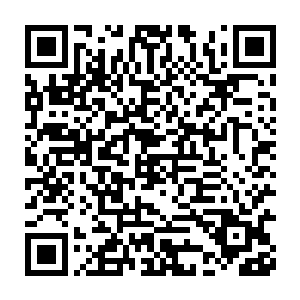 但在这个弱肉强食的世界任何人对待强者都必须保持足够的尊重才行二维码生成