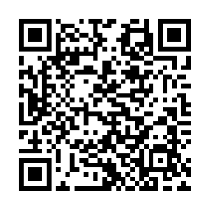 但坐镇内阁的次辅徐阶对自己的学生朱平安丝毫不包庇二维码生成