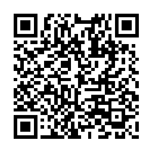 但奥斯卡只是承认演员在某部电影中的表演成就二维码生成