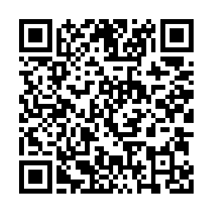 但她不是巫师想达到立竿见影的效果却是不可能二维码生成